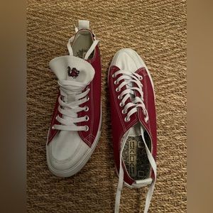 South Carolina Gamecocks SKICKS Low-Top Shoes